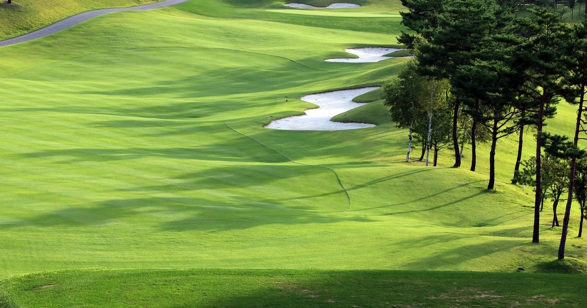 Long tree-lined fairway with bunkers on a sunny day