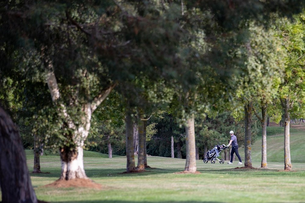 Golfer walking among large trees on a course, far in the distance
