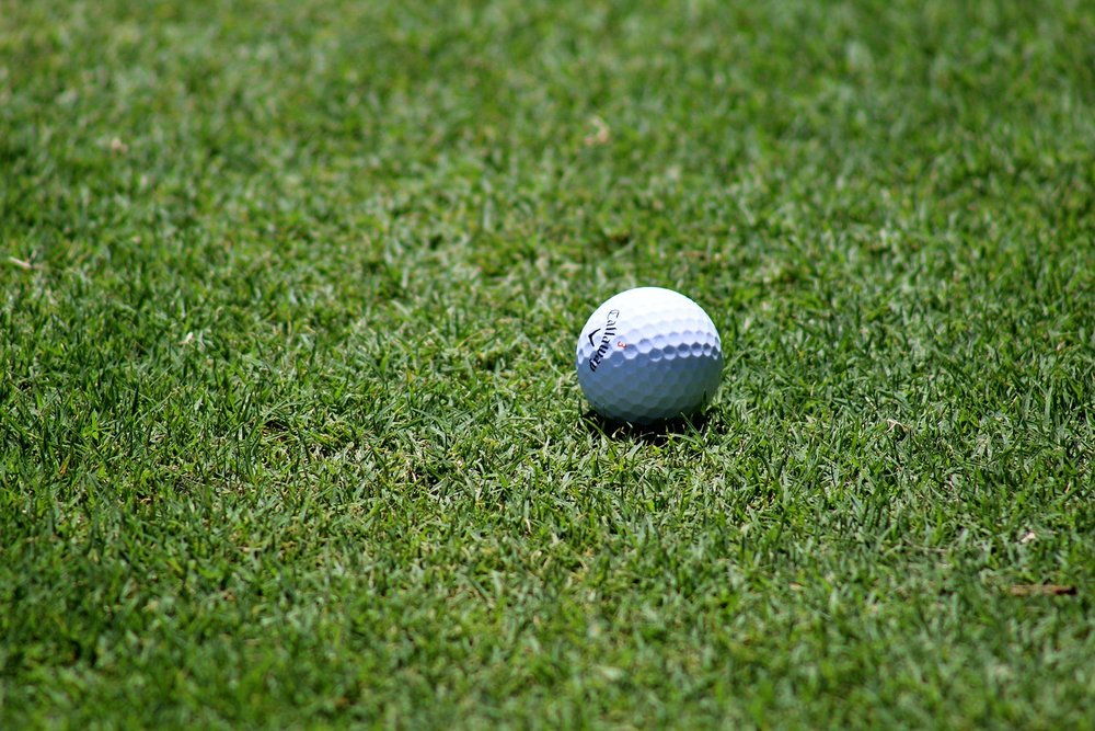 A white golf ball sitting on short grass