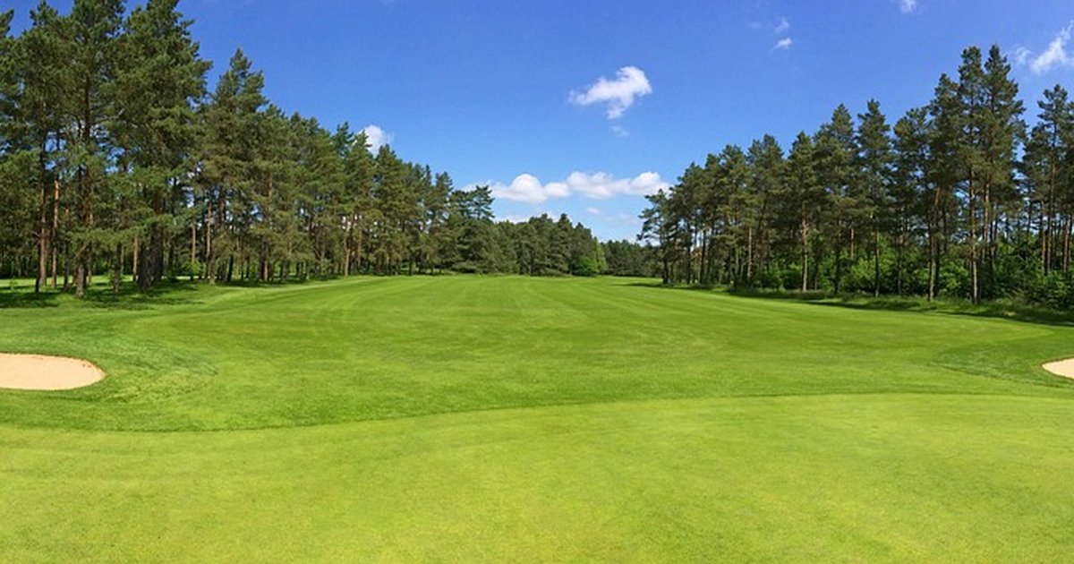 Tree-lined fairway with a bunker on the left, the kind of hole where out of bounds runs along the trees