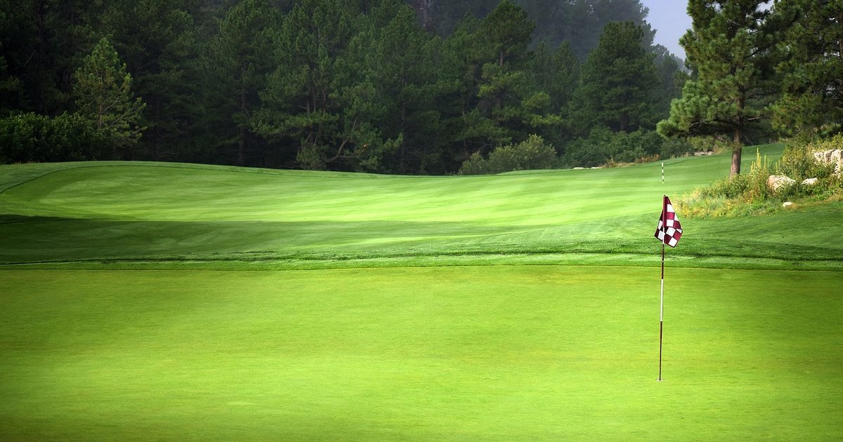 Putting green with a checkered flagstick, framed by trees