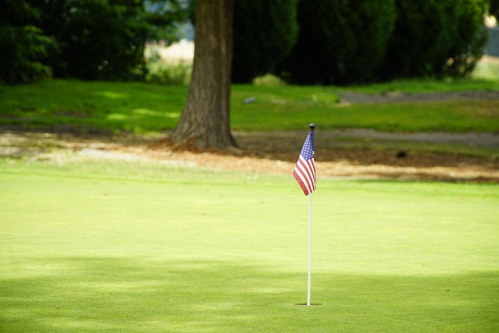 Putting green with a flagstick in front of a row of trees
